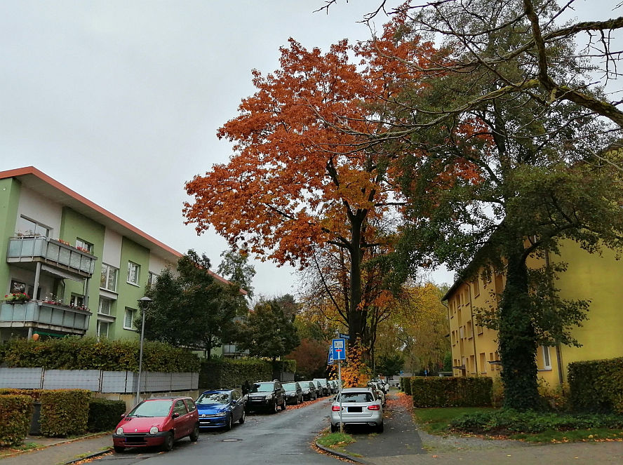 Der Schwalbengrund
